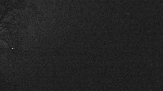 Weather camera view of Forest Lawn Beach.