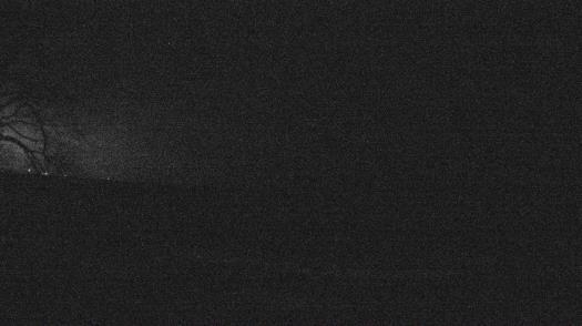 Weather camera view of Forest Lawn Beach.