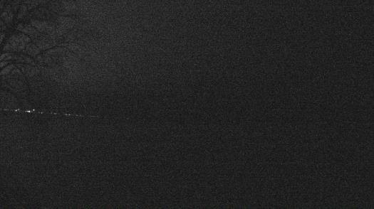 Weather camera view of Forest Lawn Beach.