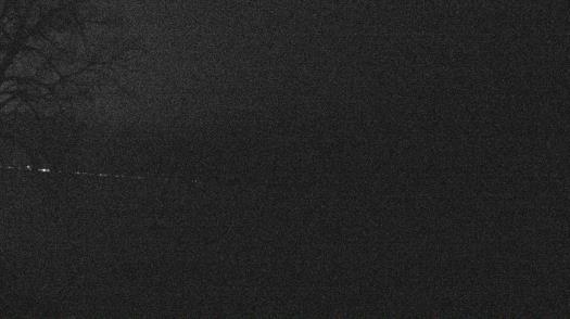 Weather camera view of Forest Lawn Beach.