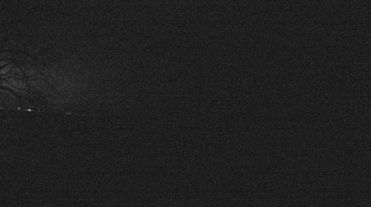 Weather camera view of Forest Lawn Beach.