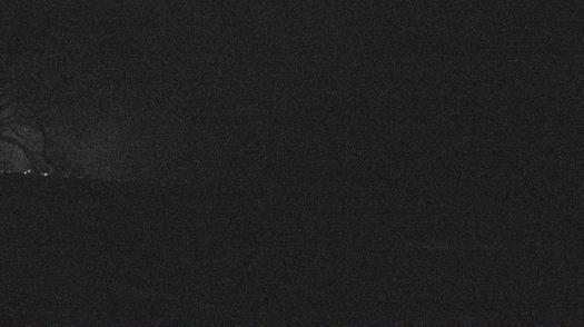 Weather camera view of Forest Lawn Beach.