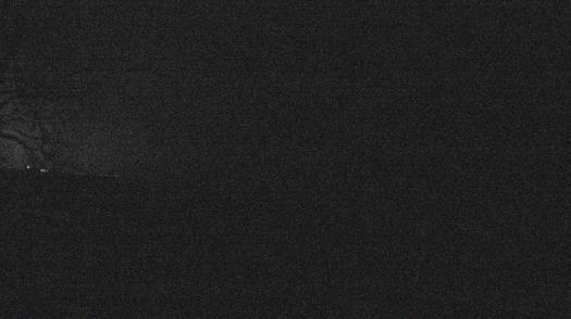 Weather camera view of Forest Lawn Beach.