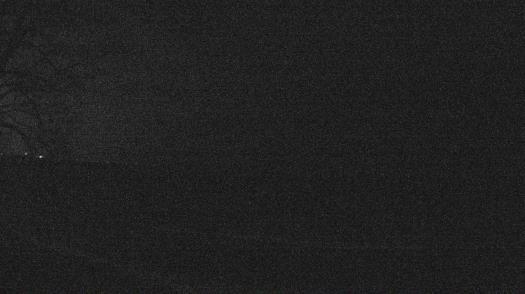 Weather camera view of Forest Lawn Beach.