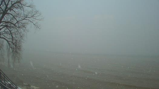 Weather camera view of Forest Lawn Beach.