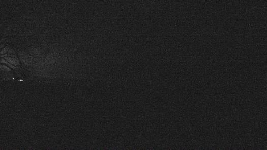 Weather camera view of Forest Lawn Beach.