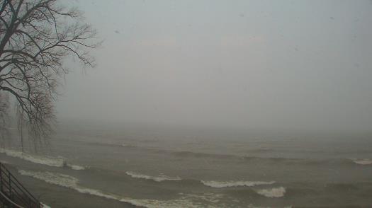 Weather camera view of Forest Lawn Beach.