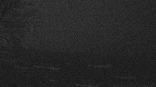 Weather camera view of Forest Lawn Beach.