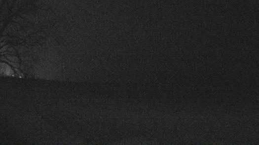 Weather camera view of Forest Lawn Beach.