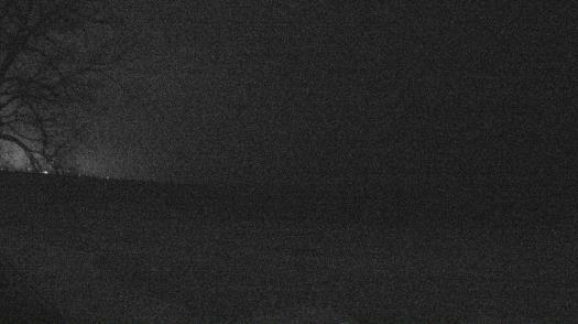 Weather camera view of Forest Lawn Beach.