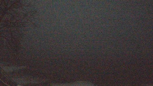 Weather camera view of Forest Lawn Beach.