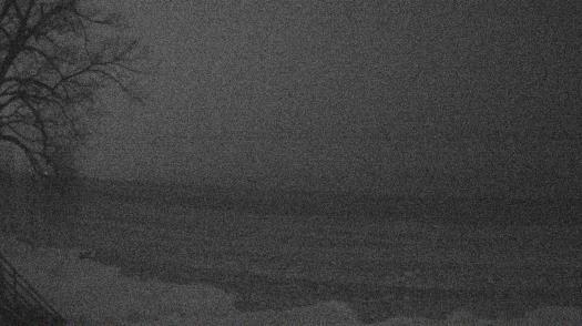 Weather camera view of Forest Lawn Beach.