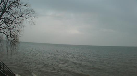 Weather camera view of Forest Lawn Beach.
