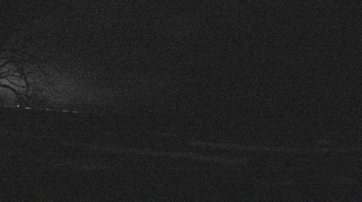 Weather camera view of Forest Lawn Beach.