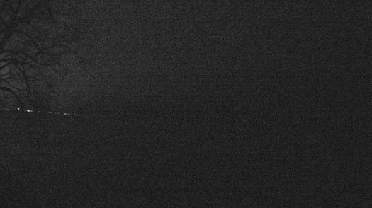 Weather camera view of Forest Lawn Beach.