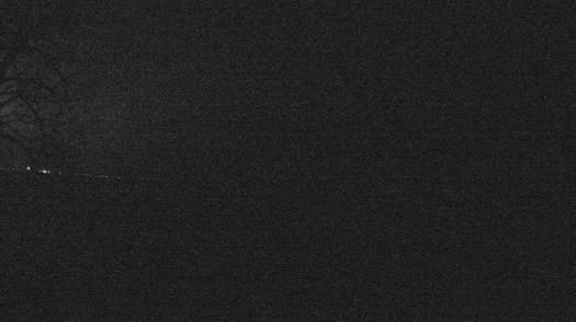 Weather camera view of Forest Lawn Beach.