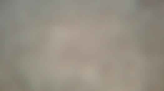 Weather camera view of Forest Lawn Beach.