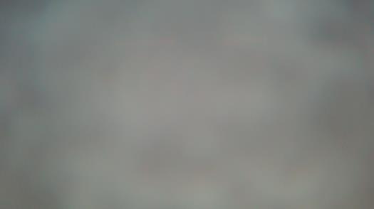 Weather camera view of Forest Lawn Beach.