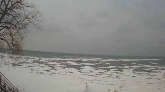 Weather camera view of Forest Lawn Beach.