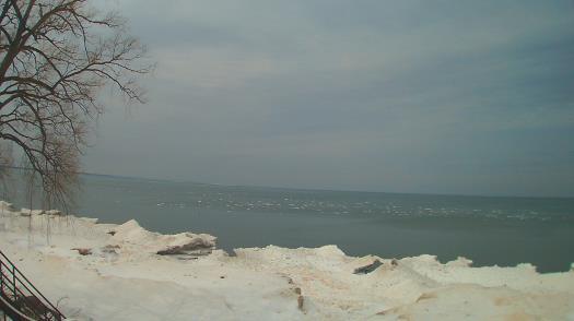 Weather camera view of Forest Lawn Beach.
