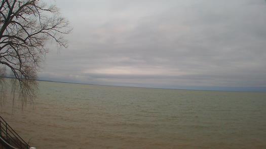 Weather camera view of Forest Lawn Beach.