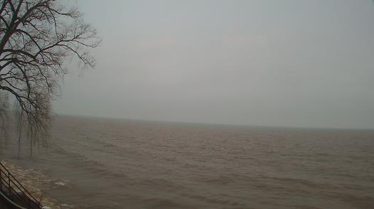 Weather camera view of Forest Lawn Beach.