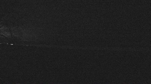 Weather camera view of Forest Lawn Beach.