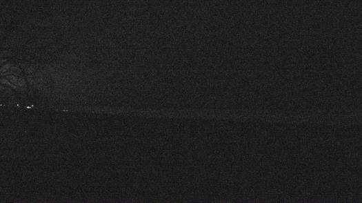 Weather camera view of Forest Lawn Beach.