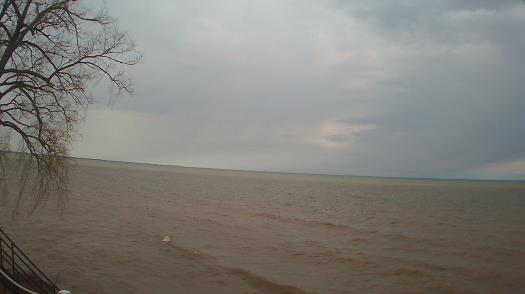 Weather camera view of Forest Lawn Beach.