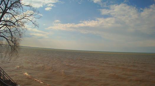 Weather camera view of Forest Lawn Beach.