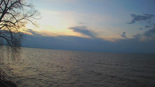 Weather camera view of Forest Lawn Beach.