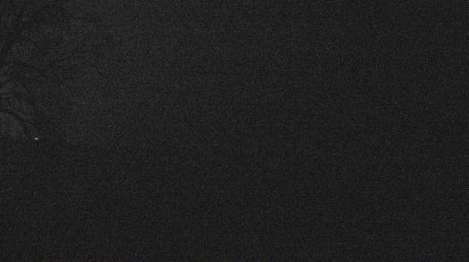 Weather camera view of Forest Lawn Beach.