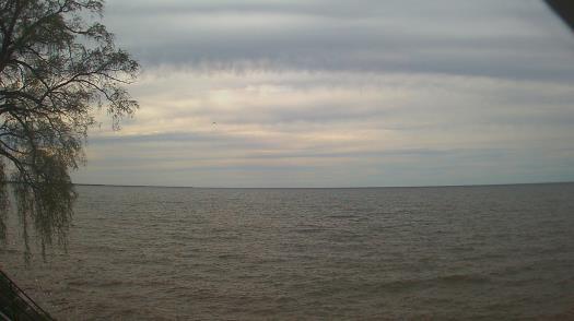 Weather camera view of Forest Lawn Beach.