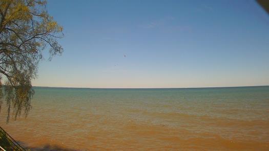 Weather camera view of Forest Lawn Beach.