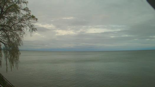 Weather camera view of Forest Lawn Beach.