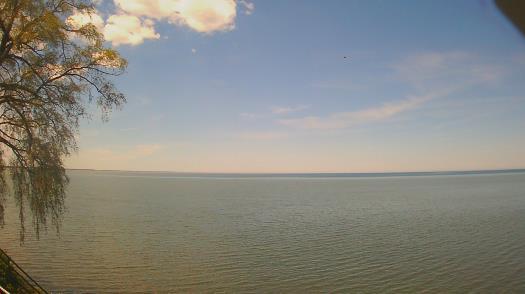 Weather camera view of Forest Lawn Beach.