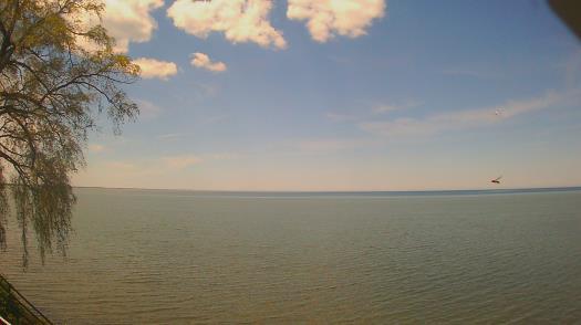 Weather camera view of Forest Lawn Beach.