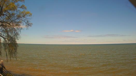 Weather camera view of Forest Lawn Beach.