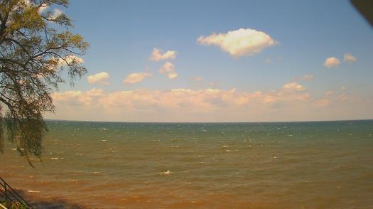 Weather camera view of Forest Lawn Beach.