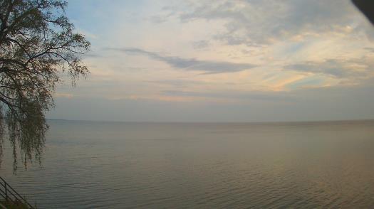 Weather camera view of Forest Lawn Beach.
