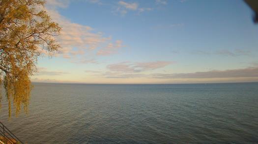 Weather camera view of Forest Lawn Beach.