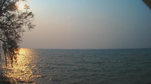 Weather camera view of Forest Lawn Beach.