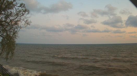Weather camera view of Forest Lawn Beach.