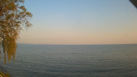 Weather camera view of Forest Lawn Beach.