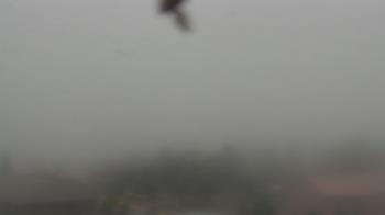 Weather camera view of Woodland Park Public Library.