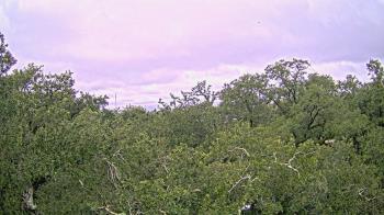 Weather camera view of Metairie Club Gardens.