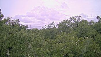 Weather camera view of Metairie Club Gardens.