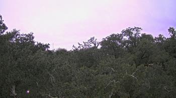 Weather camera view of Metairie Club Gardens.