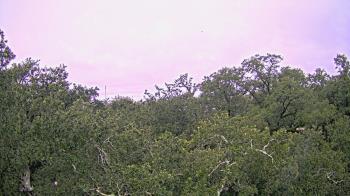 Weather camera view of Metairie Club Gardens.