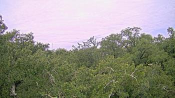 Weather camera view of Metairie Club Gardens.